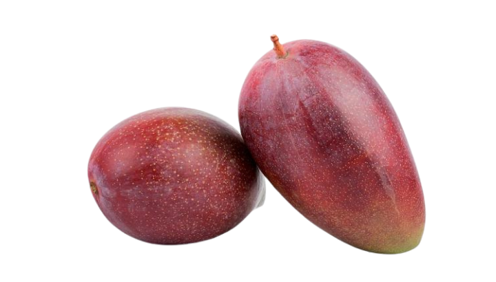 Mango Osteen