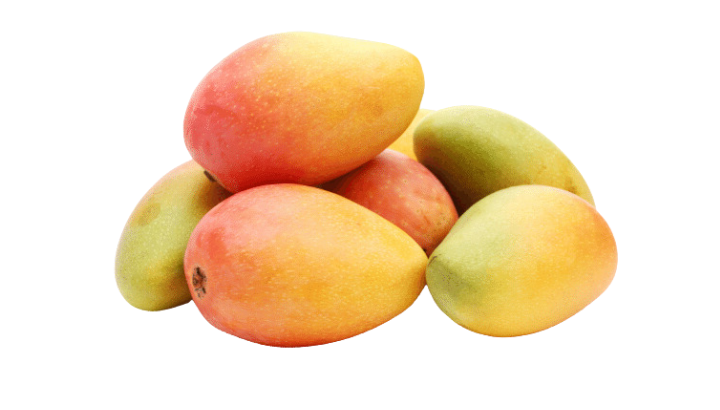 Mango Kessinton Pride